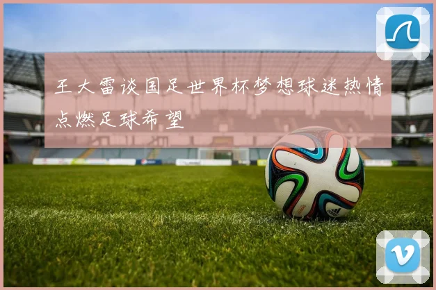 王大雷谈国足世界杯梦想球迷热情点燃足球希望