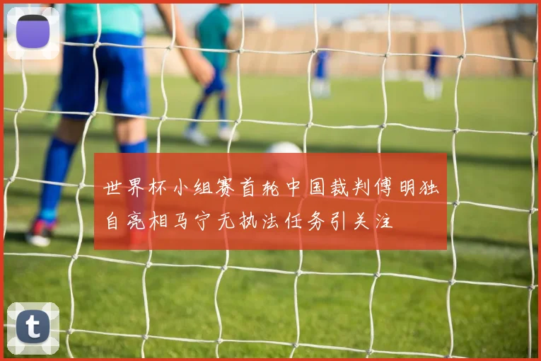 世界杯小组赛首轮中国裁判傅明独自亮相马宁无执法任务引关注